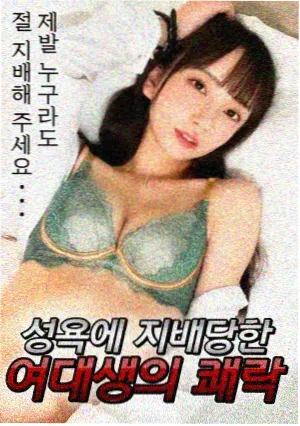 热播剧集免费看-雾港手记海报